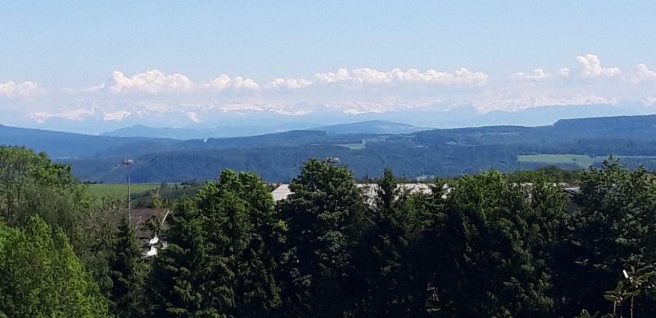 Landhotel Panoramablick Gorwihl Екстериор снимка
